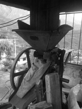Despulpadora de café. Fotografía tomada por Edgar de la Cruz.