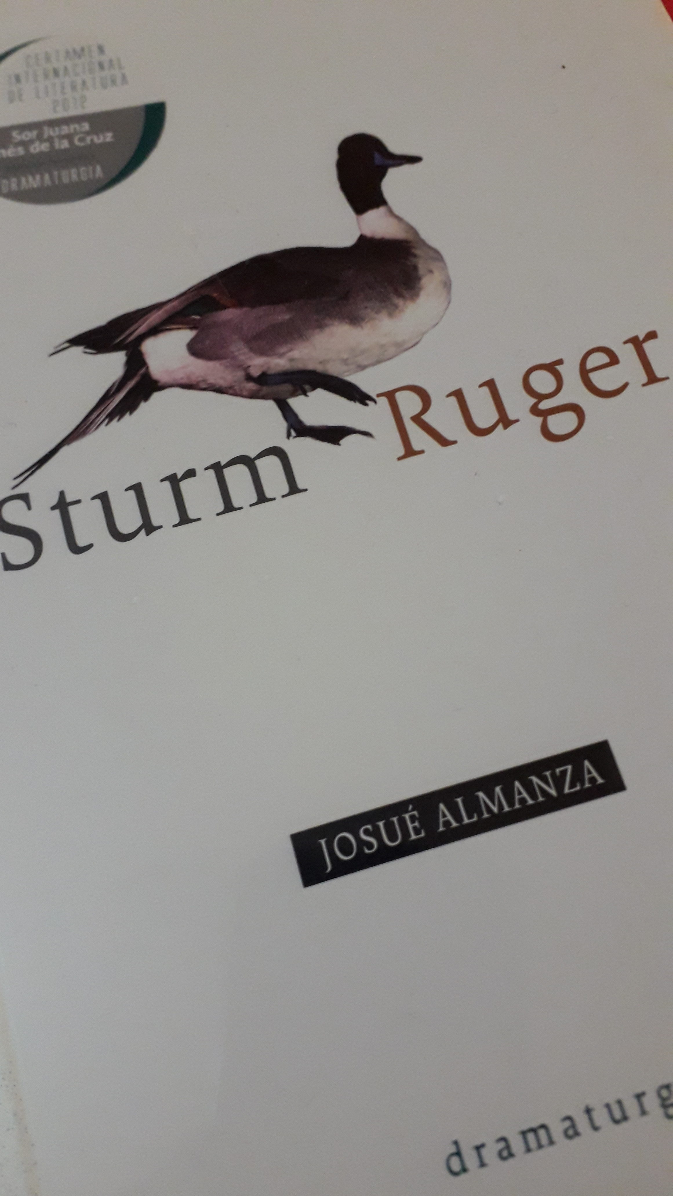 Sturm Ruger de Josué Almanza, foto de Óscar Alarcón