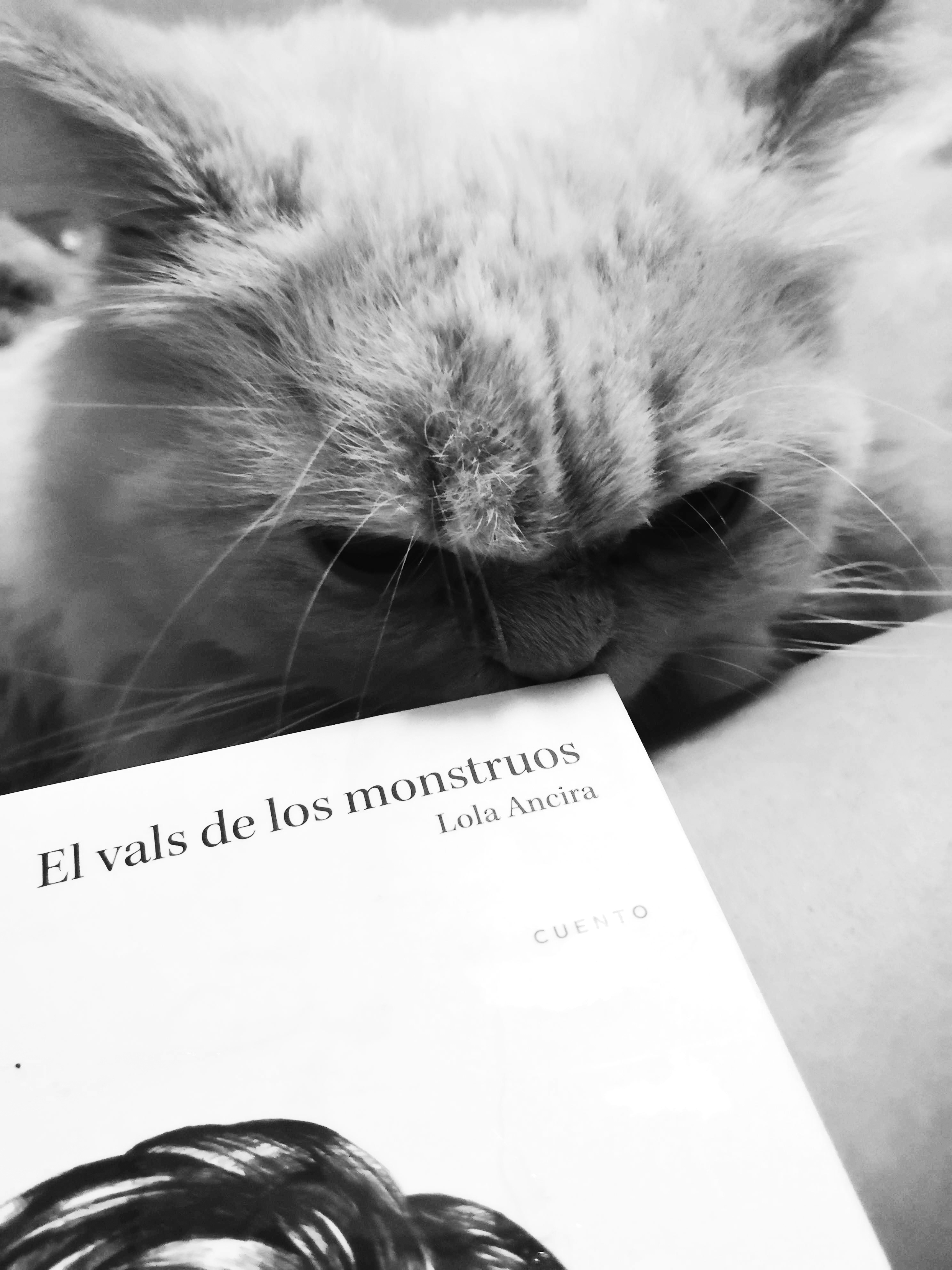El vals de los monstruos con gato, foto de Macaria España
