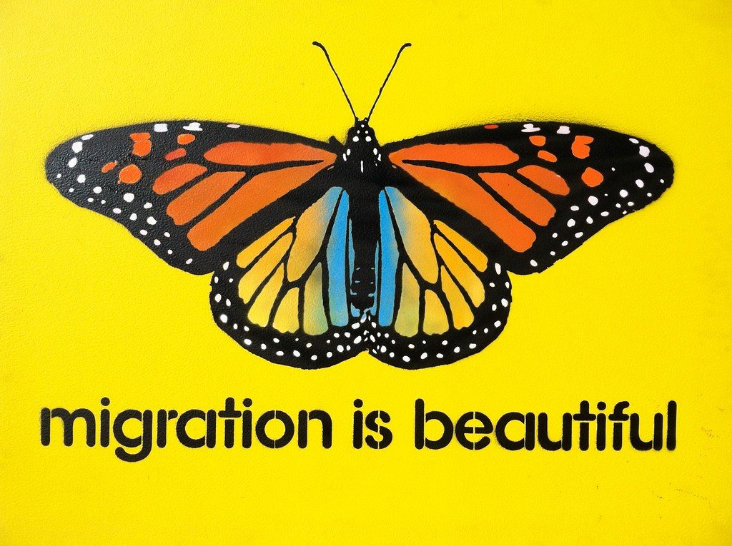 Migration is beautiful