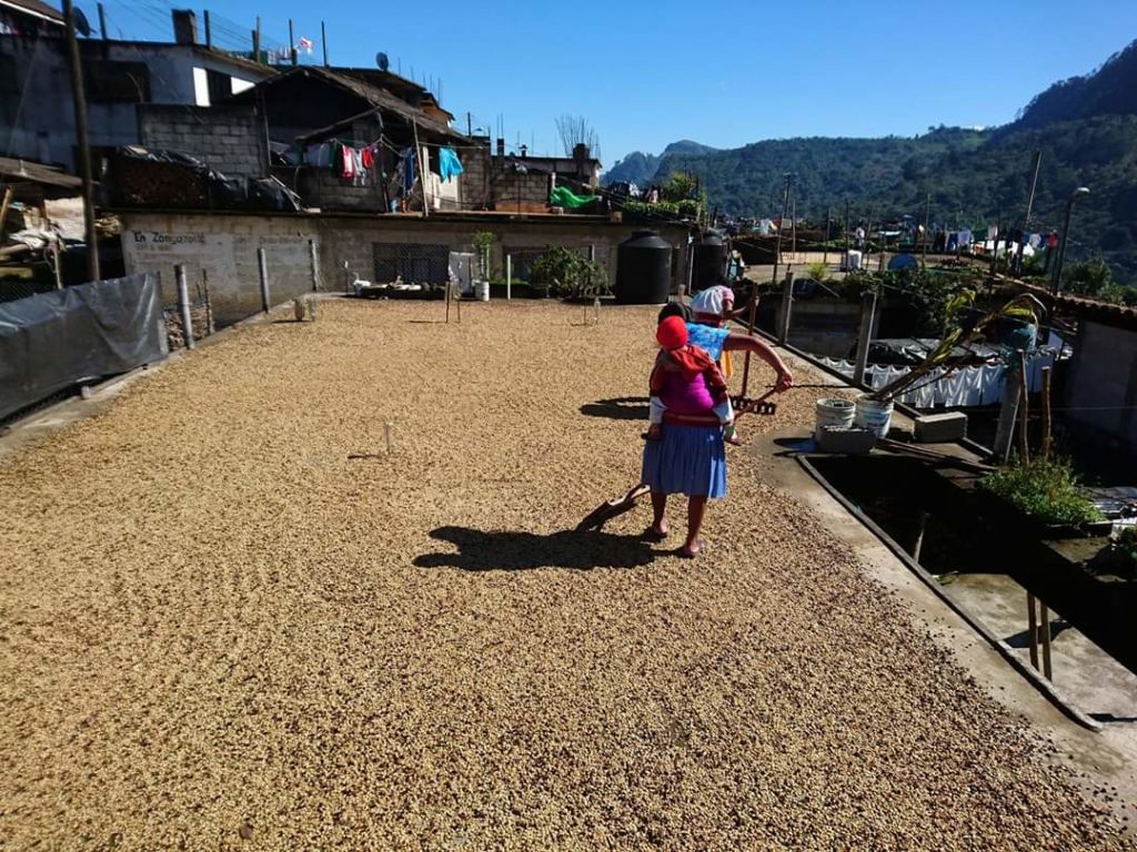 Mujer trabajando en el café. Foto de Karina Pani