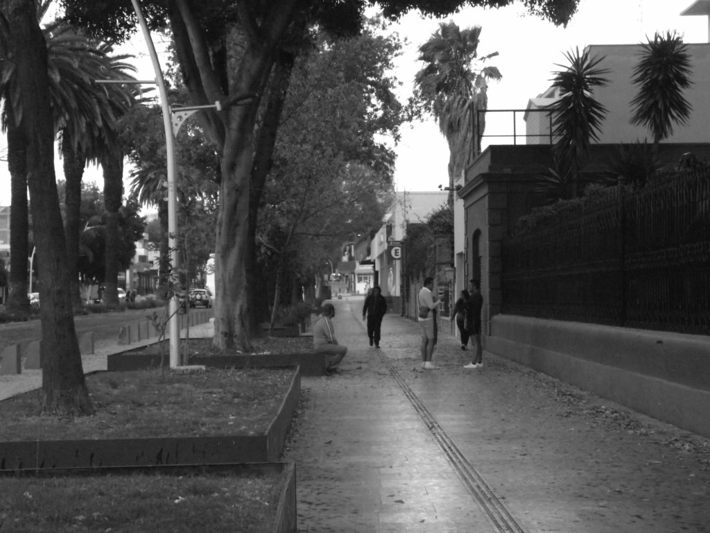 Avenida Juárez. Foto de Luis J. L. Chigo.