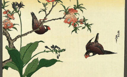 Dos aves y un cerezo de Katsushika Hokusai. Grabado. Circa 1830.