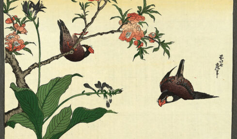 Dos aves y un cerezo de Katsushika Hokusai. Grabado. Circa 1830.