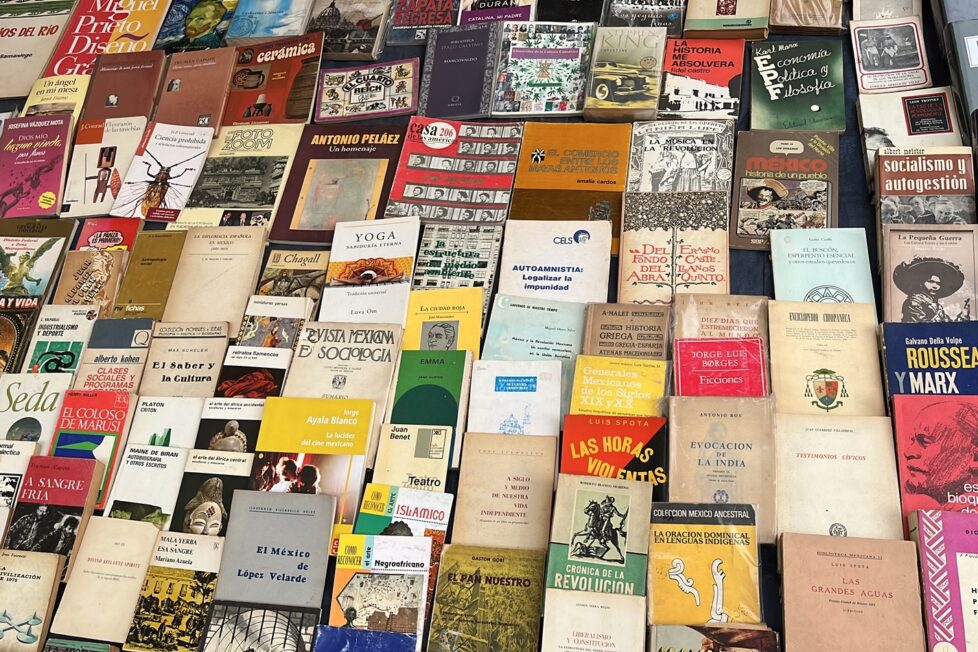 Libros en el jardín de San Fernando CDMX. Foto de Óscar Alarcón