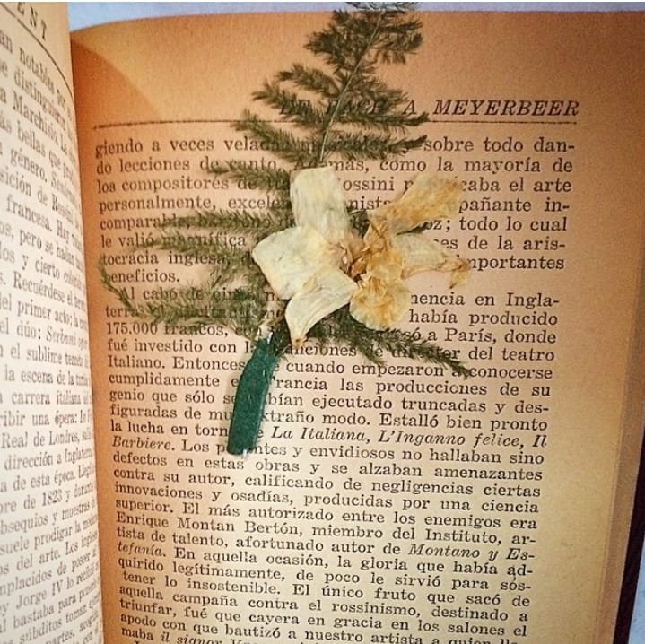 Fotografía de Sergio Núñez