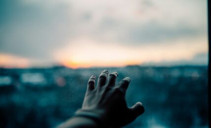 Fotografía de Alexander Iam a través de Unsplash