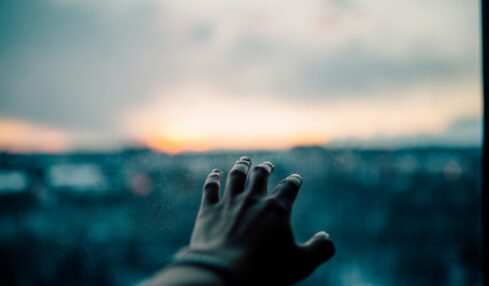 Fotografía de Alexander Iam a través de Unsplash