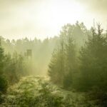 Fotografía de Nicolai Durbaum a través de Unsplash