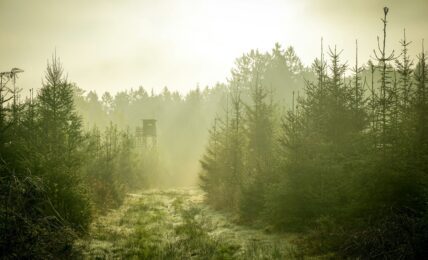 Fotografía de Nicolai Durbaum a través de Unsplash