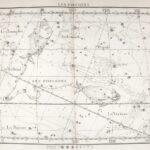 Imagen de The New York Public Library a través de Unsplash