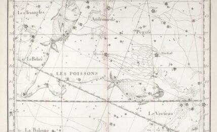 Imagen de The New York Public Library a través de Unsplash