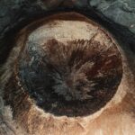 Fotografía de Radek Skrzypczak a través de Unsplash