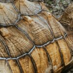 Fotografía de Sandra Seitamaa a través de Unsplash