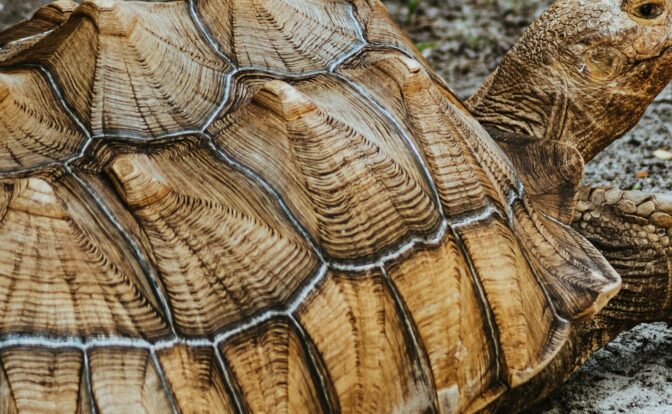Fotografía de Sandra Seitamaa a través de Unsplash