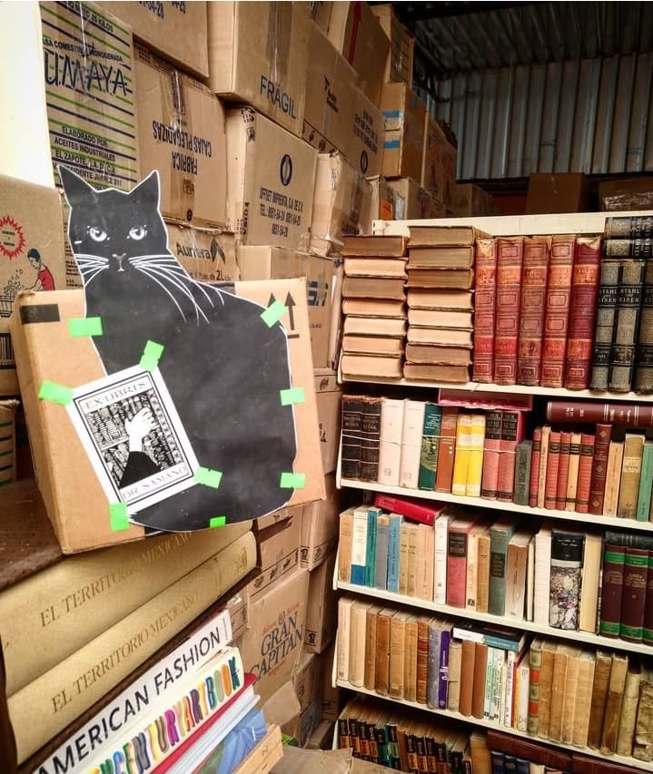 Fotografía por cortesía de Sergio Núñez