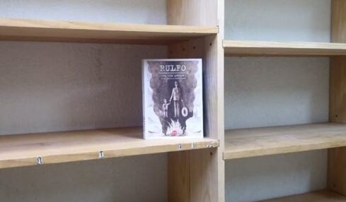 El dolor de deshacerse de la biblioteca. Fotografía de Sergio Núñez