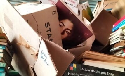 La oprimida y la primera biblioteca que compré. Fotografía de Sergio Núñez