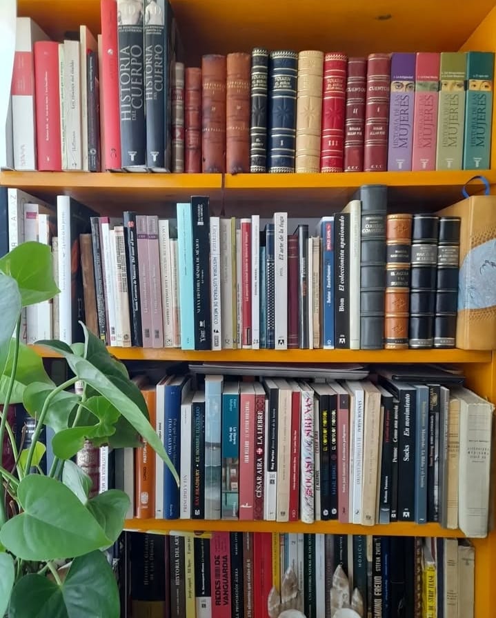 El dolor de deshacerse de la biblioteca. Fotografía de Sergio Núñez