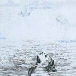 Crawl Hospital Británico de Héctor Viel Temperley publicado por la Editorial UPAEP