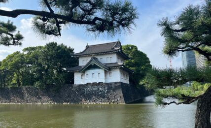 Kokyo Gaien. Tokio. Fotografía de Óscar Alarcón