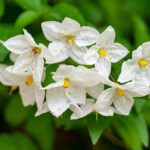 Fotografía de Geraldine Dukes a través de Unsplash