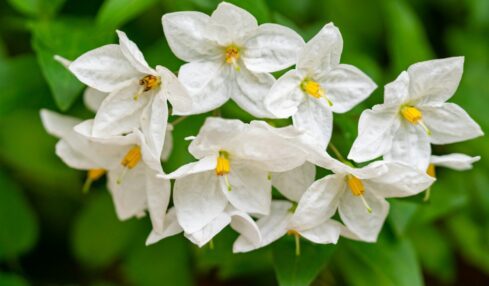 Fotografía de Geraldine Dukes a través de Unsplash