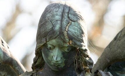 Fotografía de Marek Studzinski a través de Unsplash