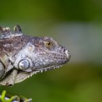 Fotografía de Matt Bango a través de Unsplash