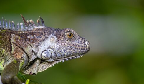 Fotografía de Matt Bango a través de Unsplash