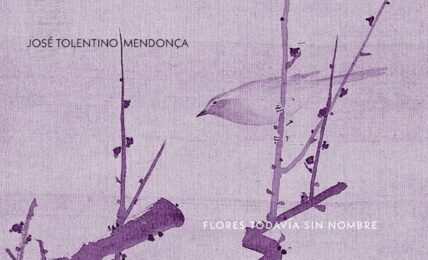 Flores todavía sin nombre de José Tolentino Mendoça