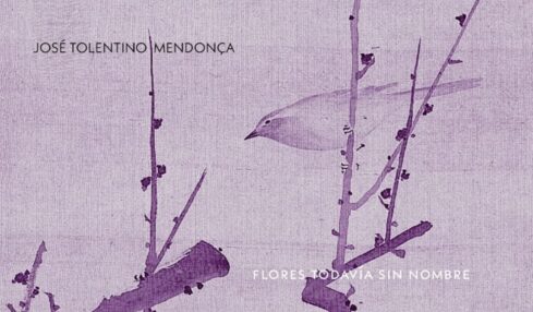 Flores todavía sin nombre de José Tolentino Mendoça