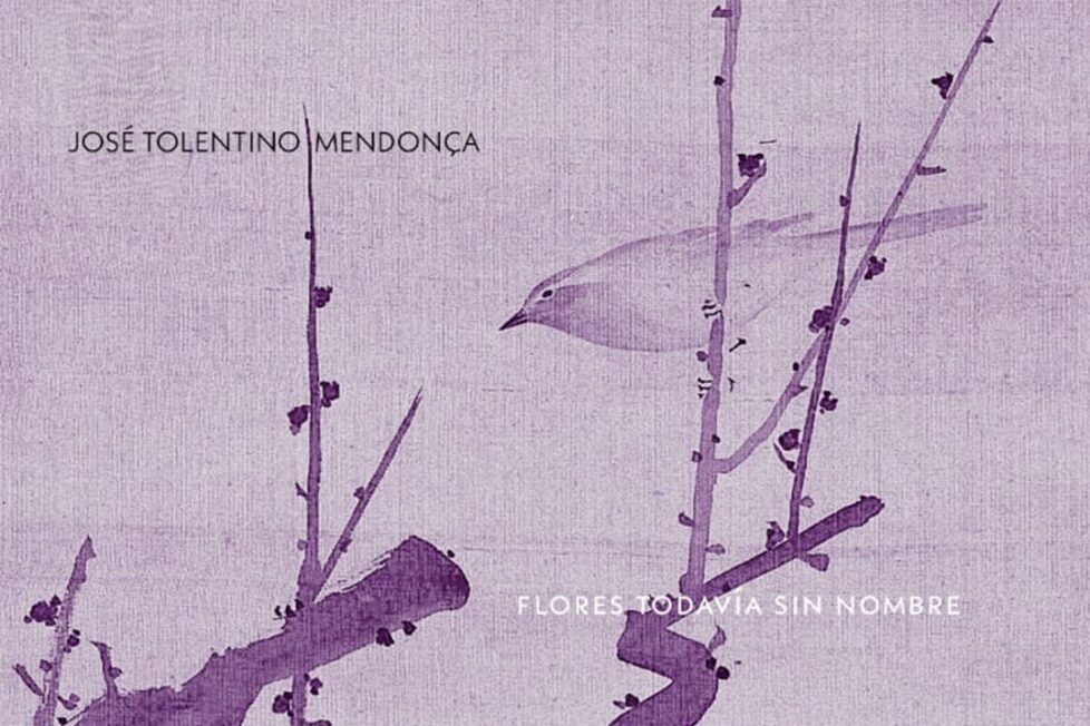 Flores todavía sin nombre de José Tolentino Mendoça