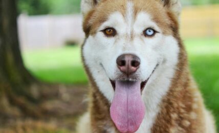 Fotografía de Christian Bowen a través de Unsplash