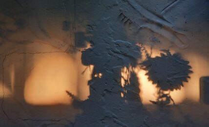 Imagen para los poemas de David Cano por Sandra González Parra