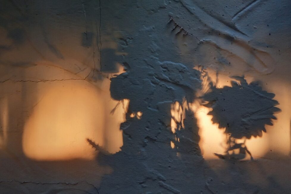 Imagen para los poemas de David Cano por Sandra González Parra