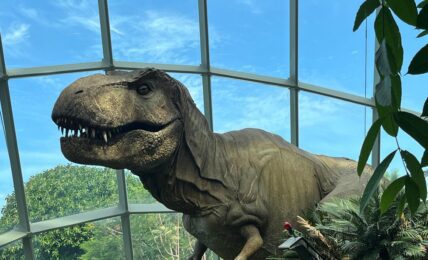 T Rex en Cloud Forest Singapur. Foto de Óscar Alarcón