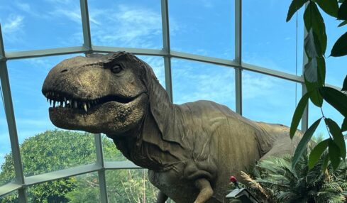 T Rex en Cloud Forest Singapur. Foto de Óscar Alarcón