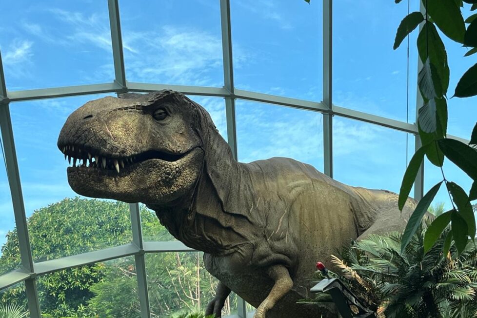 T Rex en Cloud Forest Singapur. Foto de Óscar Alarcón