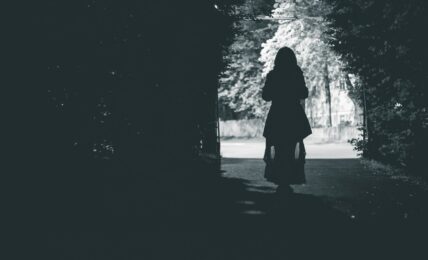 Fotografía de Erik Mclean a través de Unsplash