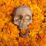 Fotografía de Erika Lowe a través de Unsplash