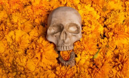 Fotografía de Erika Lowe a través de Unsplash