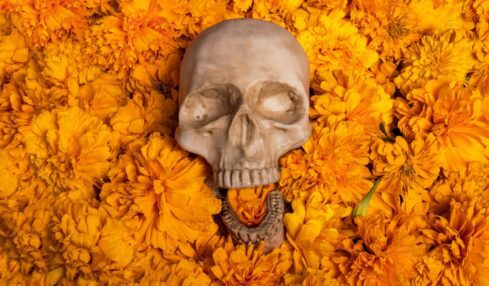 Fotografía de Erika Lowe a través de Unsplash