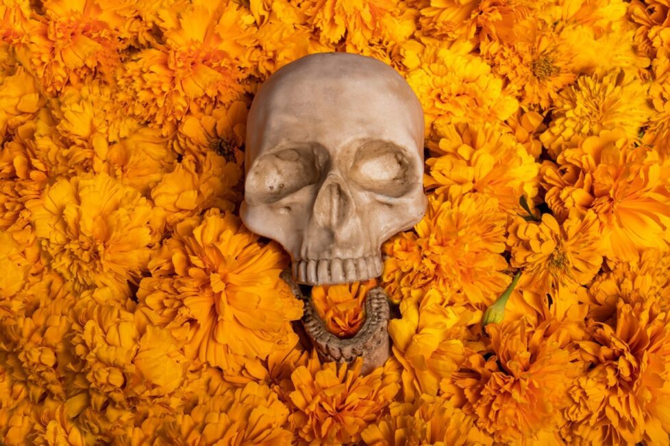 Fotografía de Erika Lowe a través de Unsplash