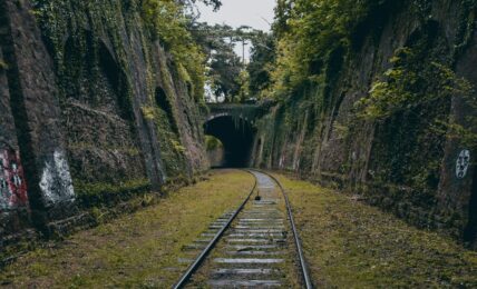 Fotografía de Florian Olivo a través de Unsplash