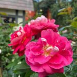 Fotografía de Óscar Alarcón