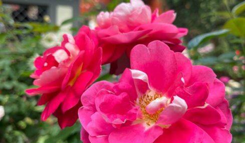 Fotografía de Óscar Alarcón