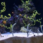 Fotografía de Julia Goralski a través de Unsplash