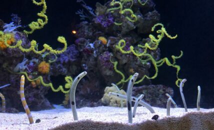 Fotografía de Julia Goralski a través de Unsplash