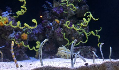 Fotografía de Julia Goralski a través de Unsplash